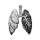 Lung Nodule Risk Calculator